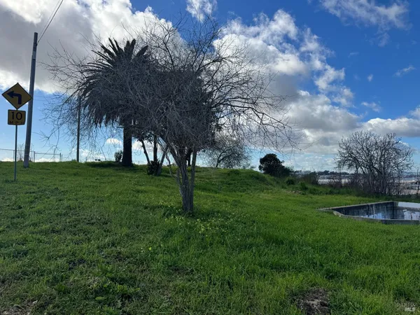a view of yard with green space