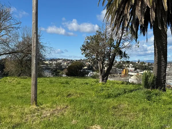 a big yard with lots of green space
