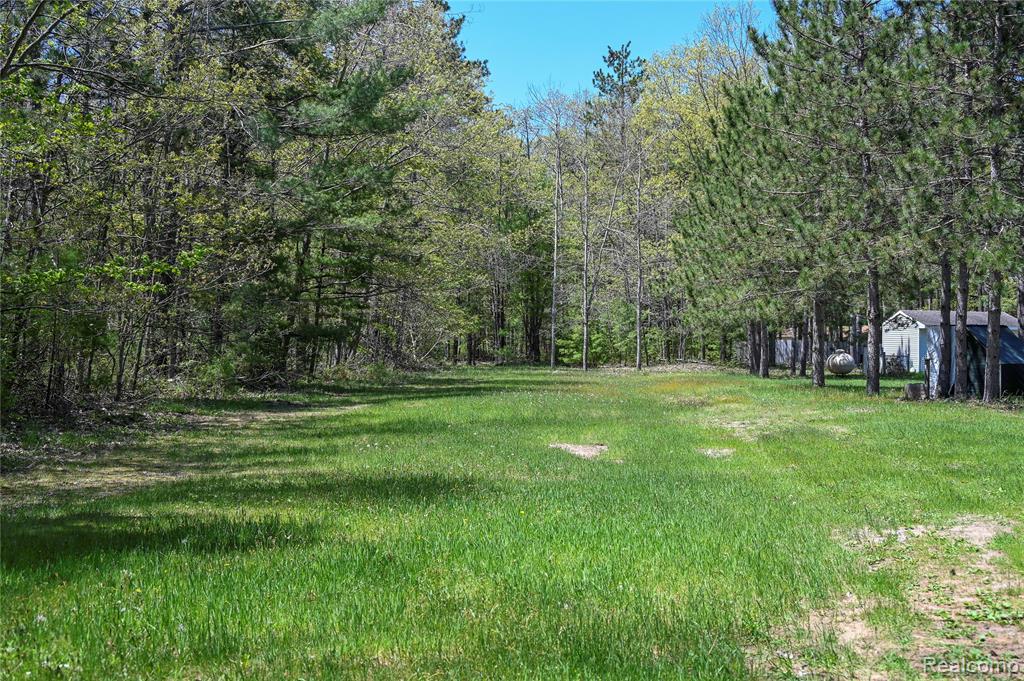 1094 Blamer Road Fairview, MI 48621 - Photo 63 of 97