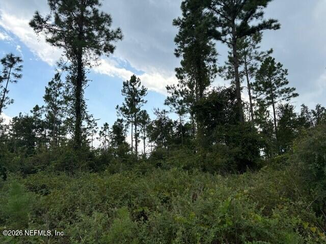 8463 Ford Road Bryceville, FL 32009 - Photo 14 of 14 a view of a trees in a yard