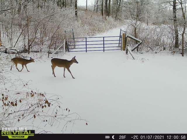 13767 3 Mile Road Savanna, IL 61074 - Photo 14 of 17