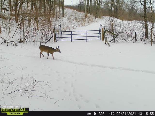 13767 3 Mile Road Savanna, IL 61074 - Photo 15 of 17 a view of a bench in the yard