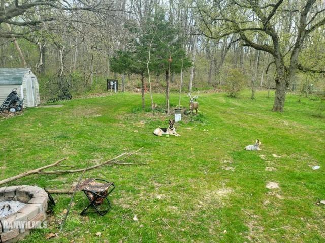 13767 3 Mile Road Savanna, IL 61074 - Photo 10 of 17 a backyard of a house with table and chairs