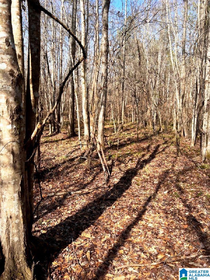 3045 Corinth Road, Unit 56 ACRES Cragford, AL 36255 - Photo 14 of 29