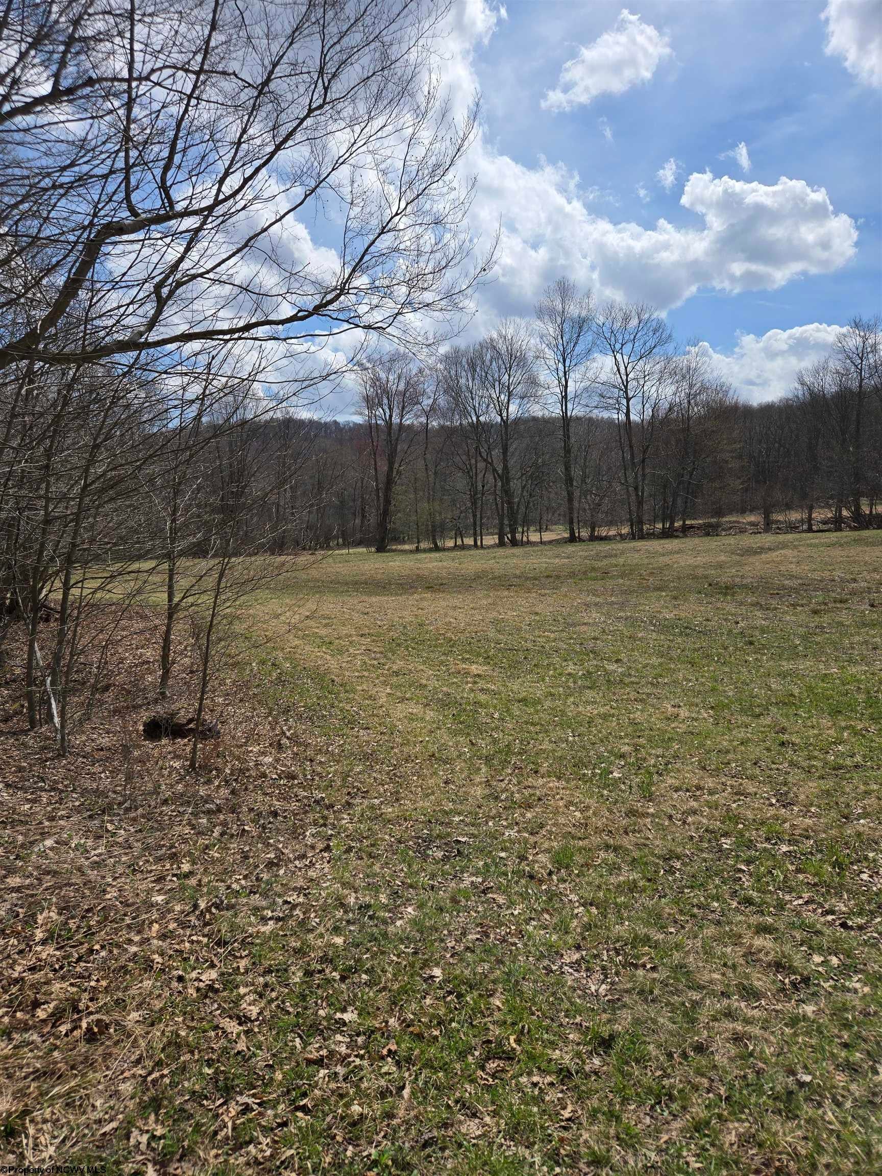 0 Cupps Run Road Terra Alta, WV 26764 - Photo 2 of 7 Gallery Image 2