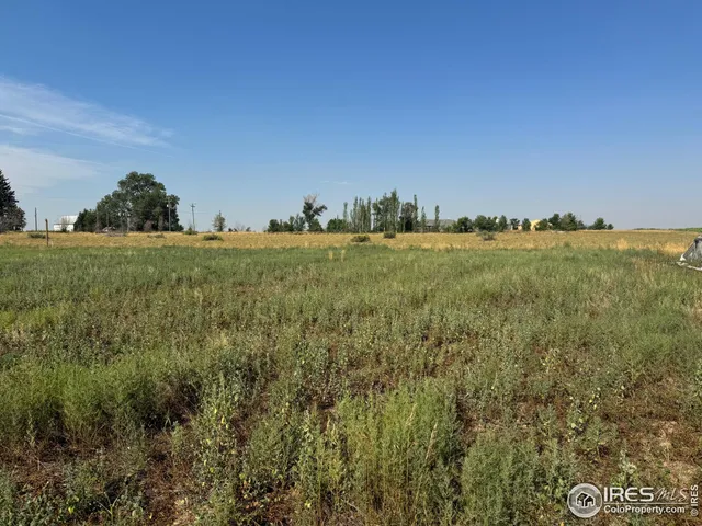 a view of a field of grass and trees