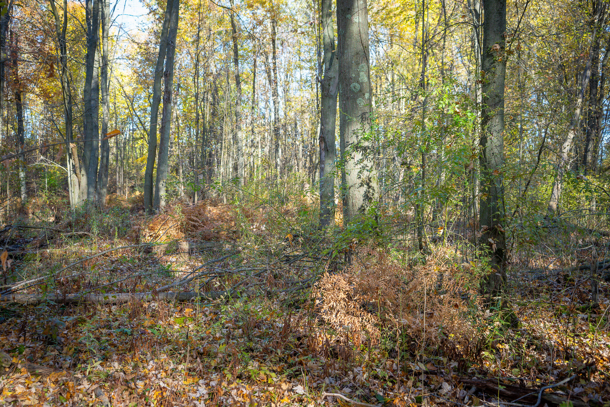 00 Sullivan Road Ravenna, MI 49451 - Photo 14 of 32 DSC07403