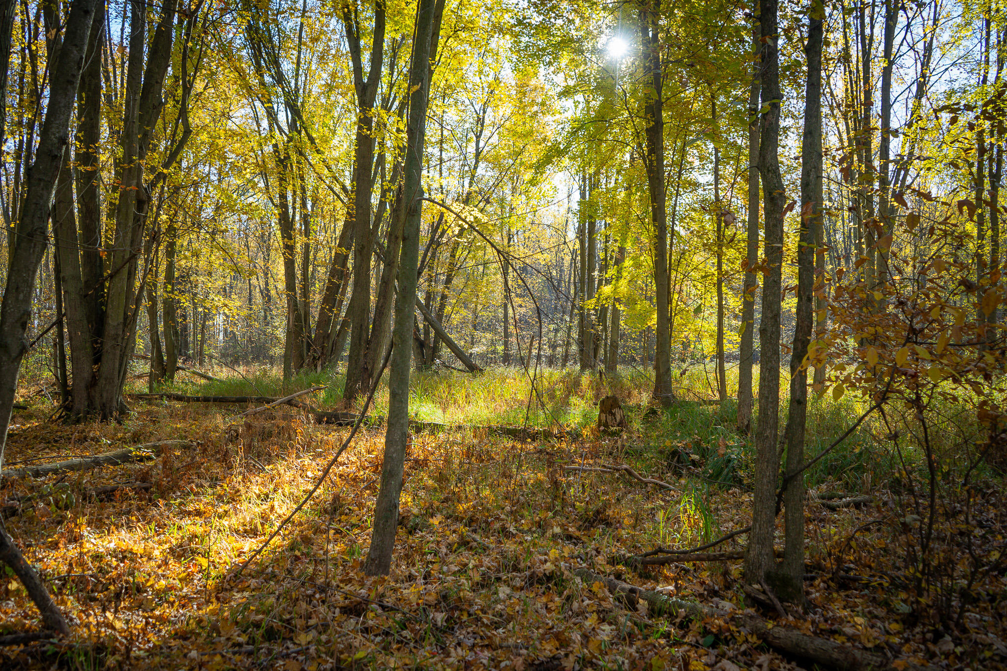 00 Sullivan Road Ravenna, MI 49451 - Photo 15 of 32 DSC07404