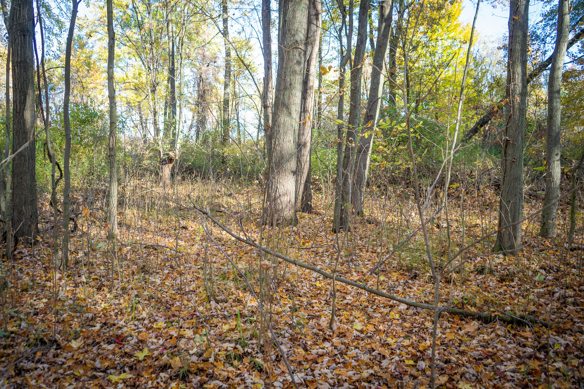 00 Sullivan Road Ravenna, MI 49451 - Photo 20 of 32 DSC07410