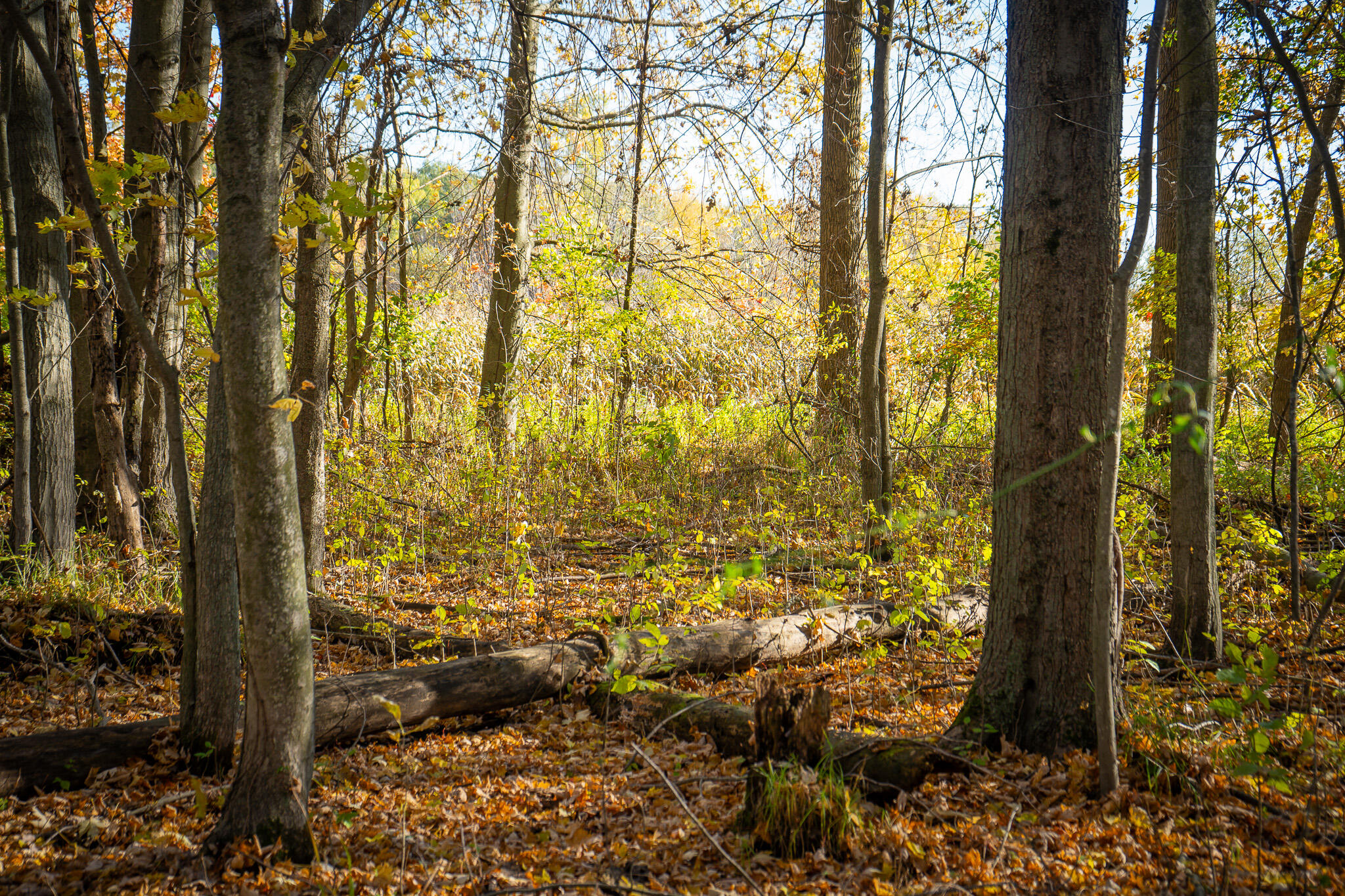 00 Sullivan Road Ravenna, MI 49451 - Photo 21 of 32 DSC07412