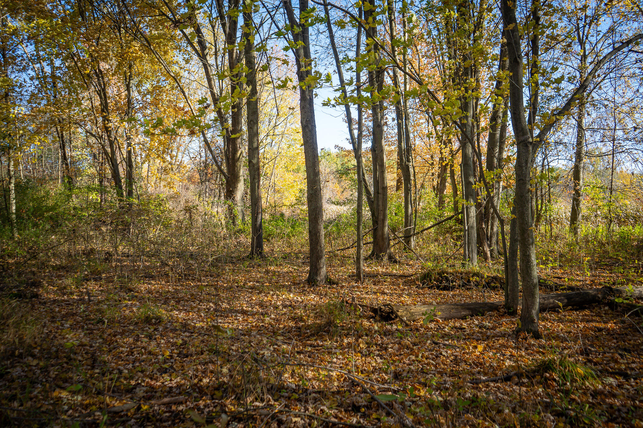 00 Sullivan Road Ravenna, MI 49451 - Photo 23 of 32 DSC07411