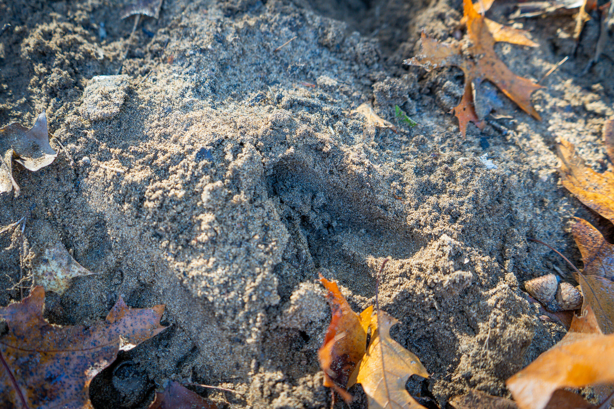 00 Sullivan Road Ravenna, MI 49451 - Photo 24 of 32 DSC07414