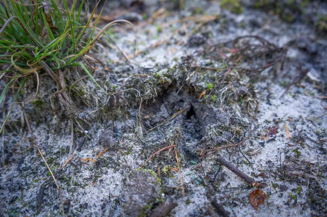 $135,000 | 00 Sullivan Road, Ravenna, MI 49451