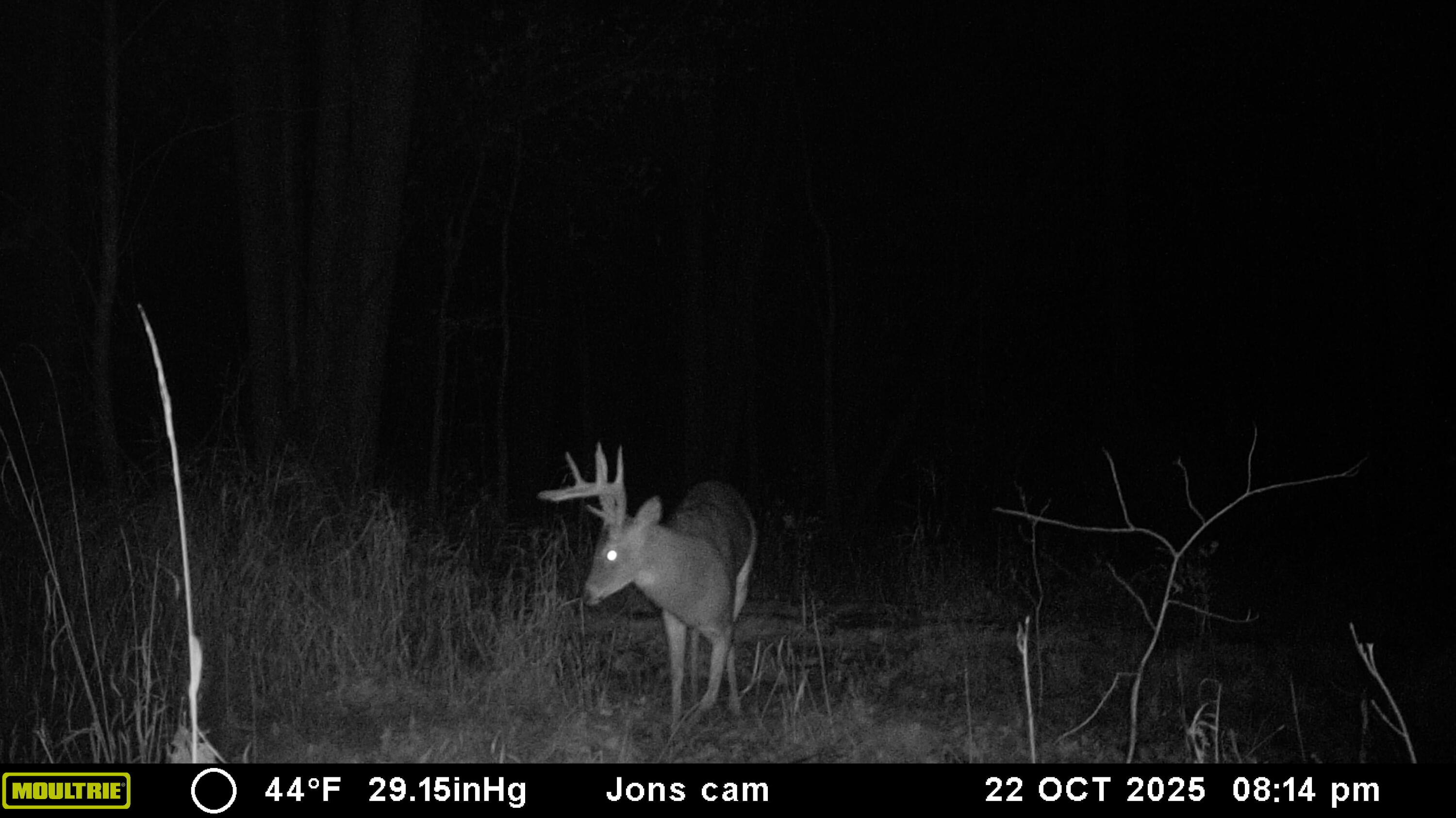 00 Sullivan Road Ravenna, MI 49451 - Photo 26 of 32 Oct Buck