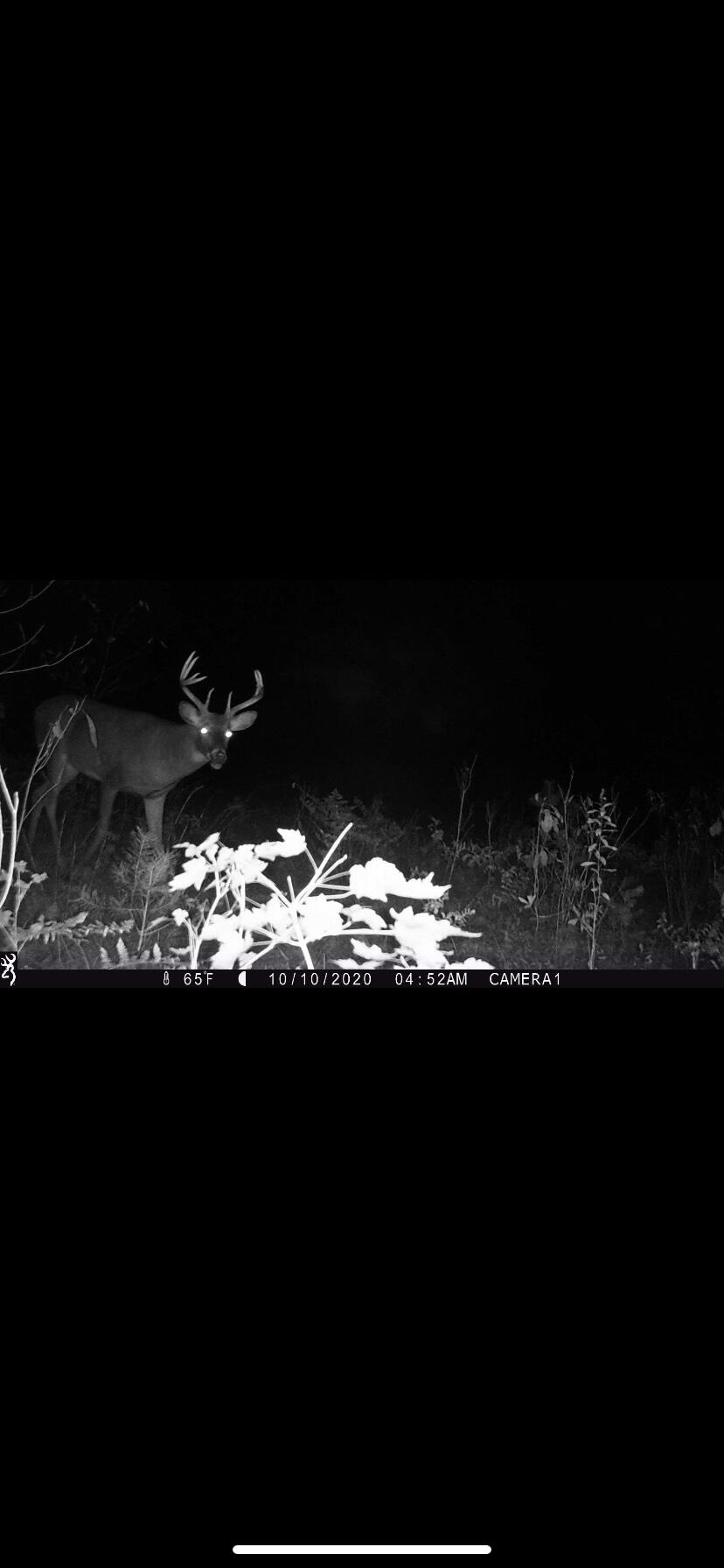 00 Sullivan Road Ravenna, MI 49451 - Photo 27 of 32 IMG_7490