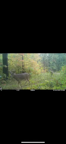 $135,000 | 00 Sullivan Road, Ravenna, MI 49451