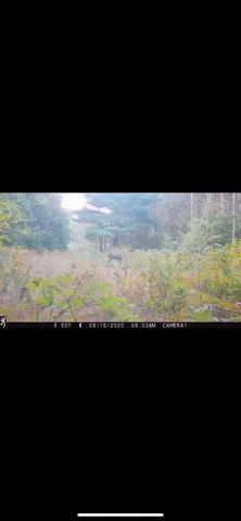 $135,000 | 00 Sullivan Road, Ravenna, MI 49451