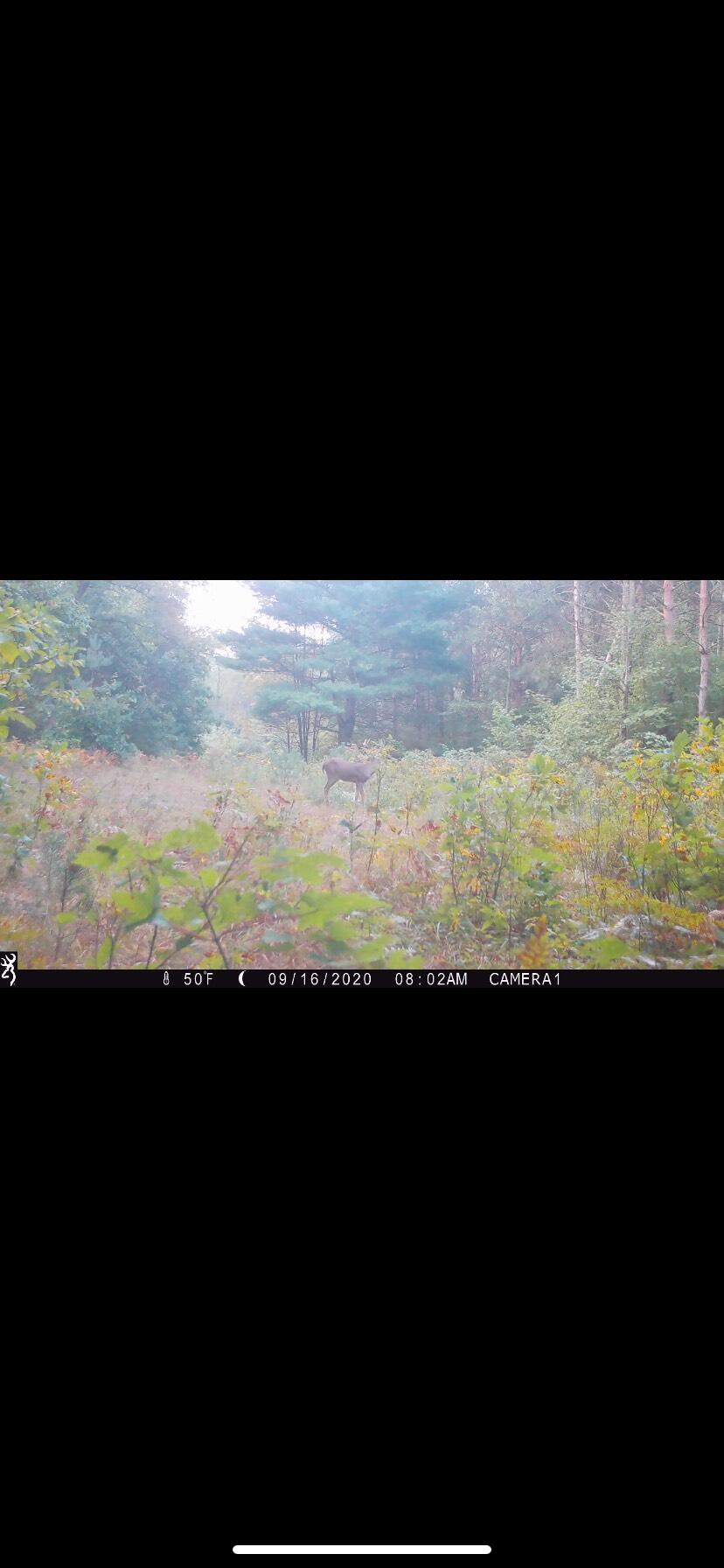 00 Sullivan Road Ravenna, MI 49451 - Photo 30 of 32 IMG_7496