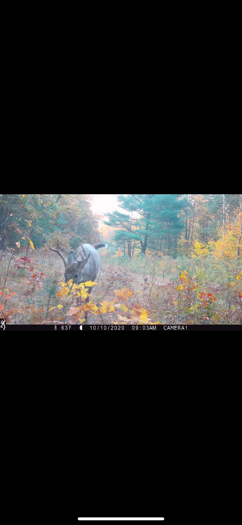 00 Sullivan Road Ravenna, MI 49451 - Photo 31 of 32 IMG_7497