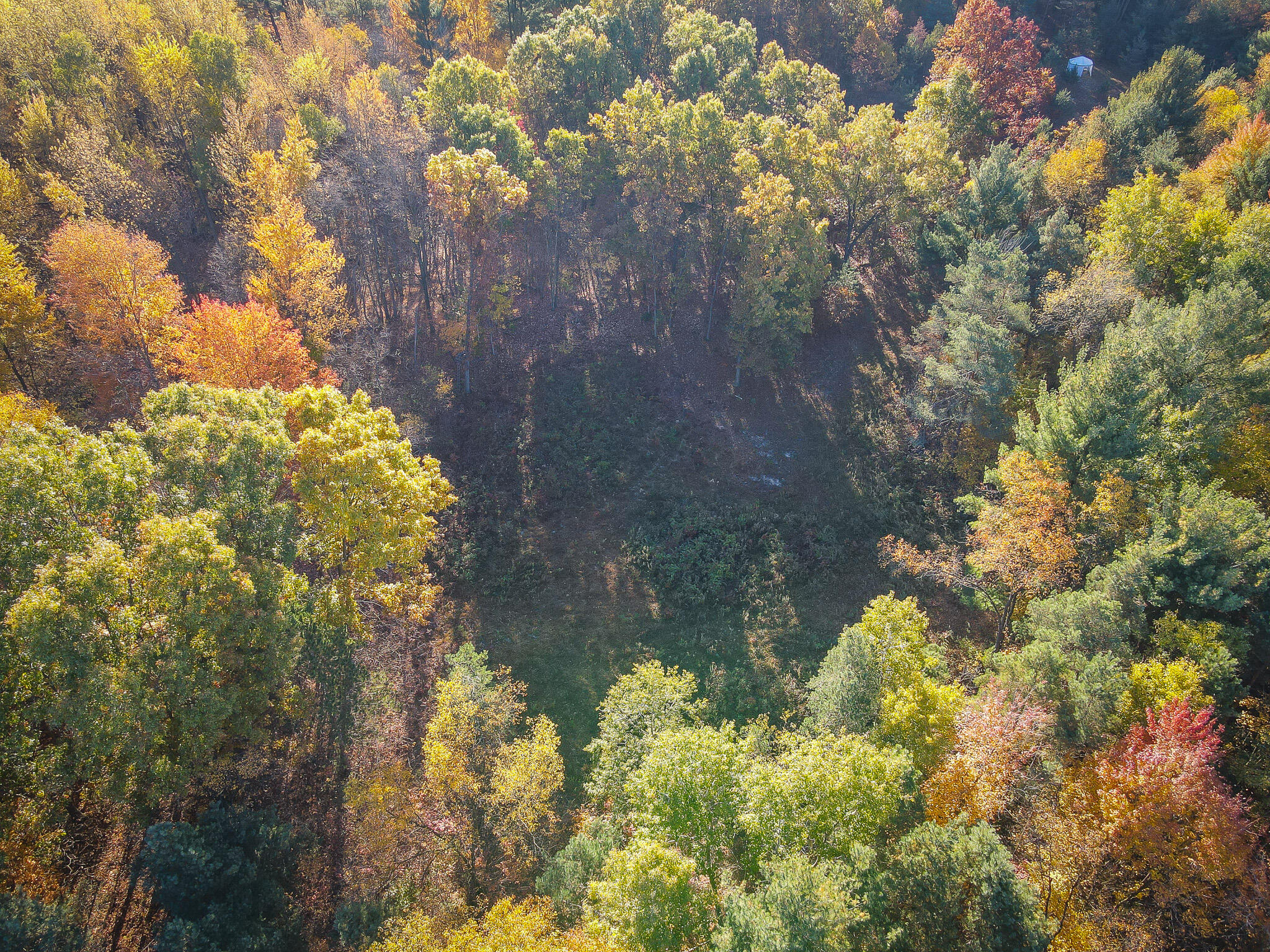00 Sullivan Road Ravenna, MI 49451 - Photo 7 of 32 dji_fly_20251028_101620_741_176166126156