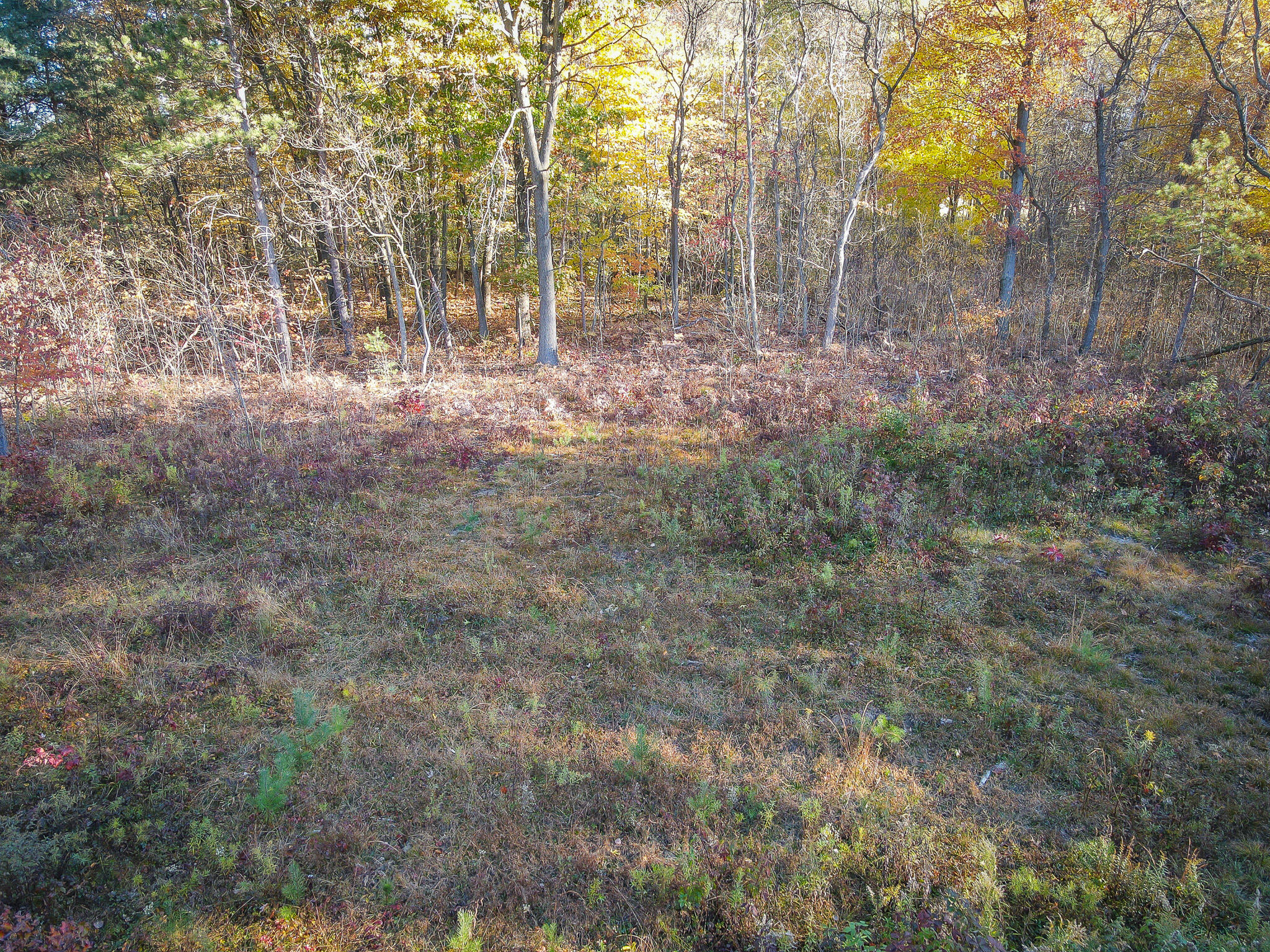 00 Sullivan Road Ravenna, MI 49451 - Photo 8 of 32 dji_fly_20251028_101644_742_176166125939