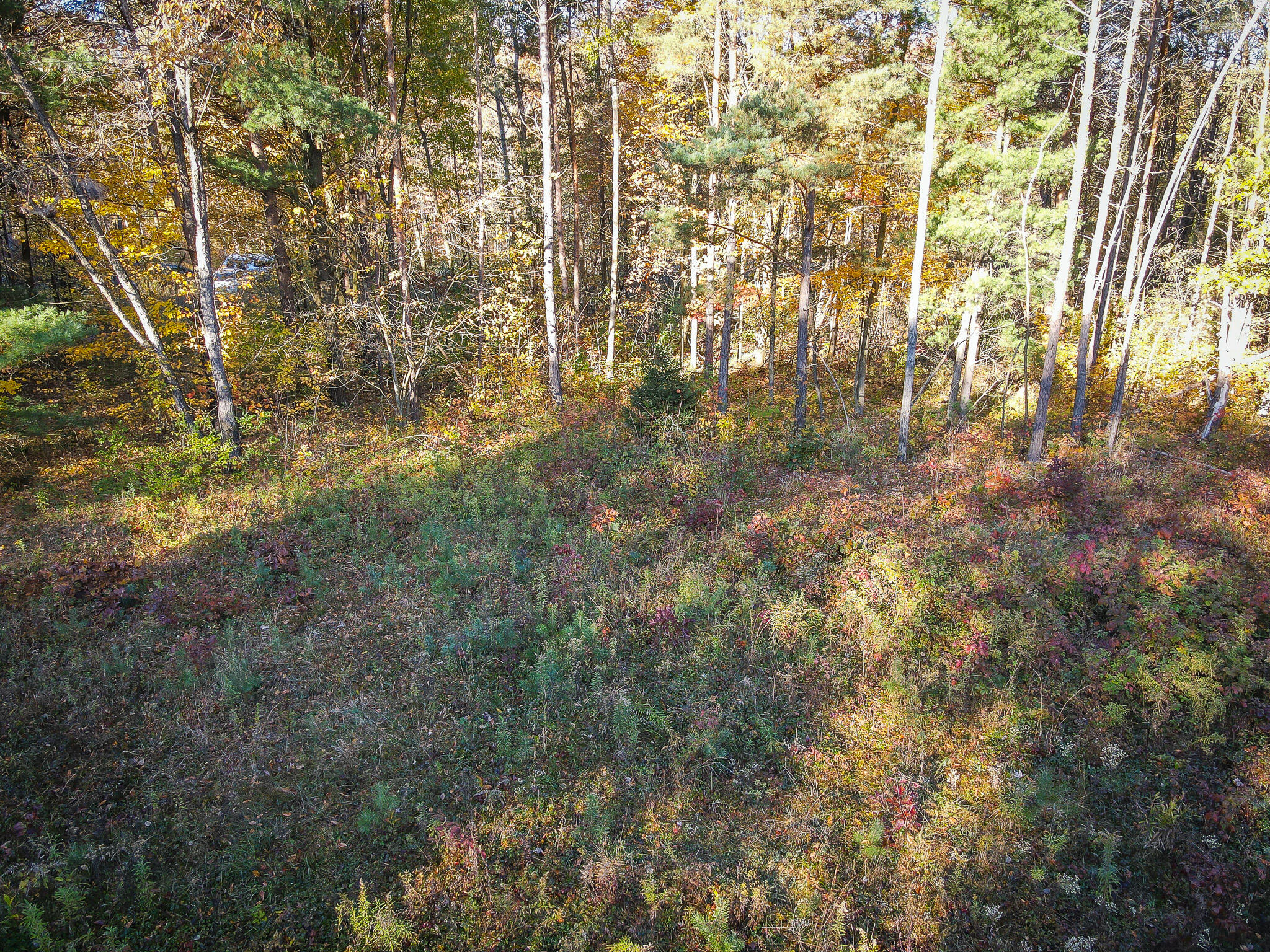 00 Sullivan Road Ravenna, MI 49451 - Photo 9 of 32 dji_fly_20251028_101650_744_176166125513