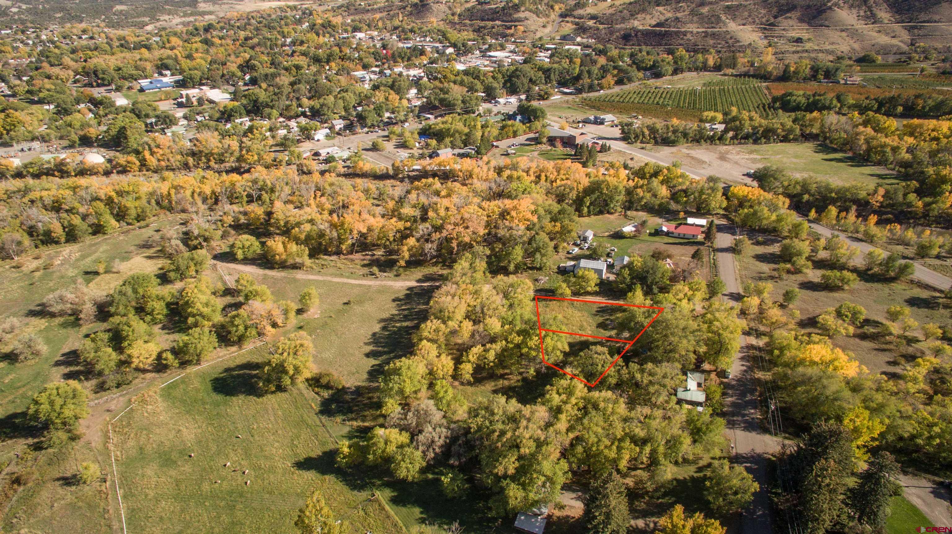 Lot 2 Price Road Paonia, CO 81428 - Photo 9 of 18