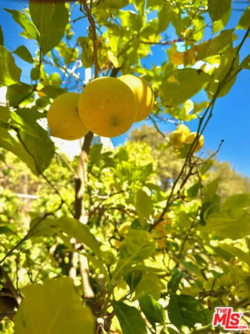 $8,700 | 2829 North Beachwood Drive, Los Angeles, CA 90068