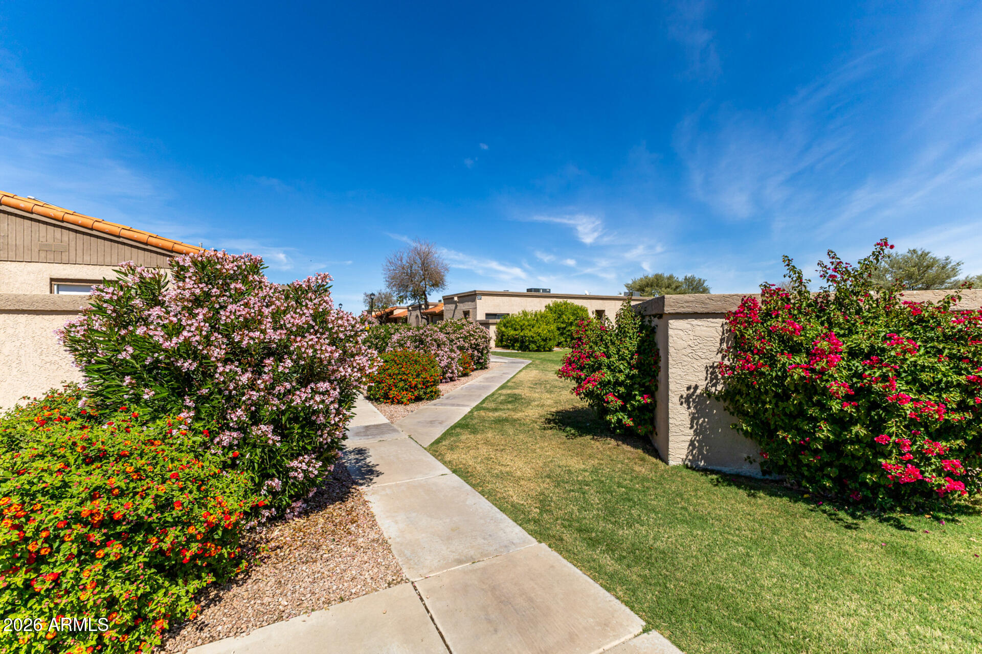 95 North Cooper Road, Unit 50 Chandler, AZ 85225 - Photo 45 of 46 48 Cooper 50
