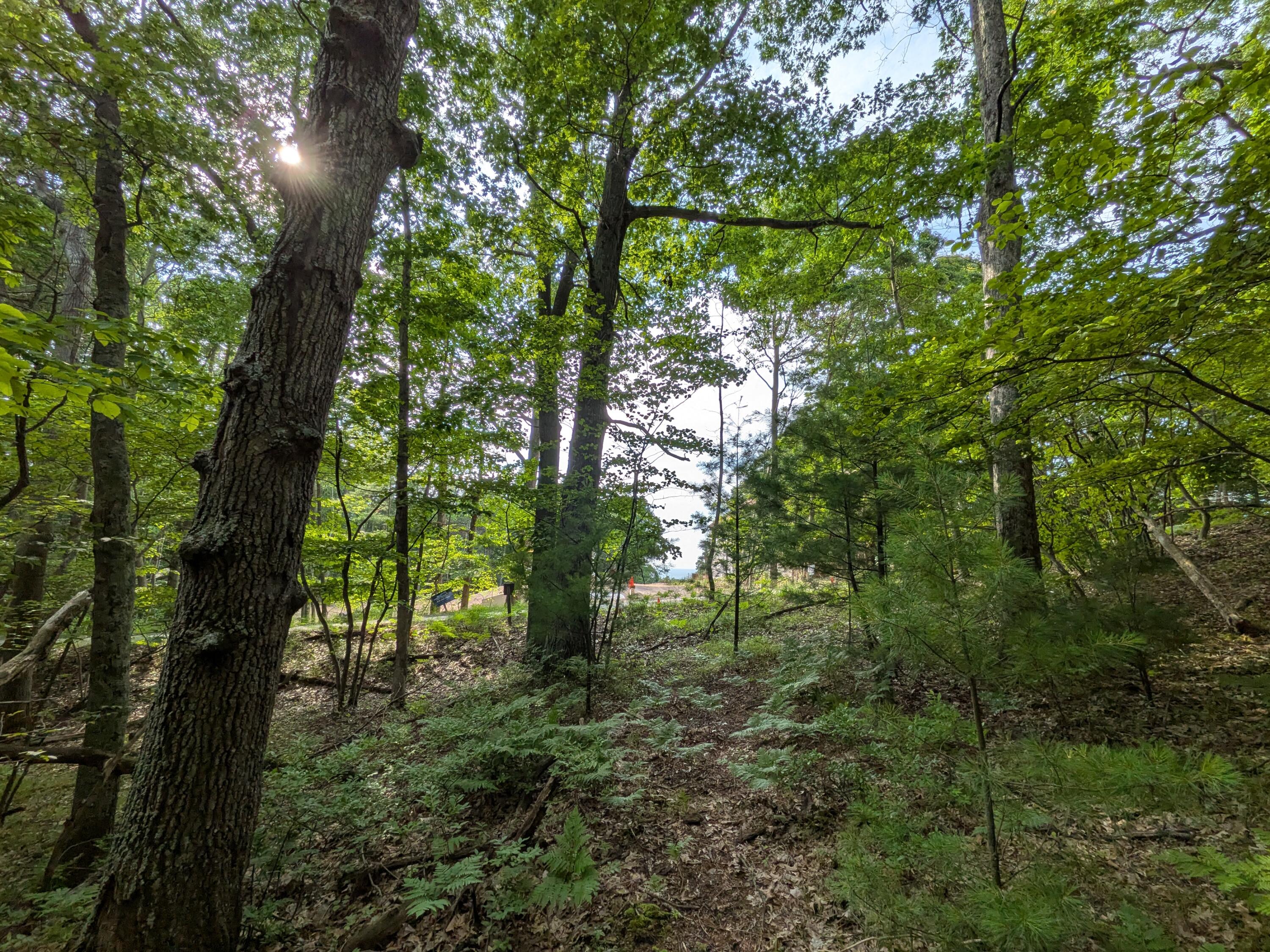 North Silver Ridge Road Mears, MI 49436 - Photo 7 of 11 PXL_20260705_220141272.MP