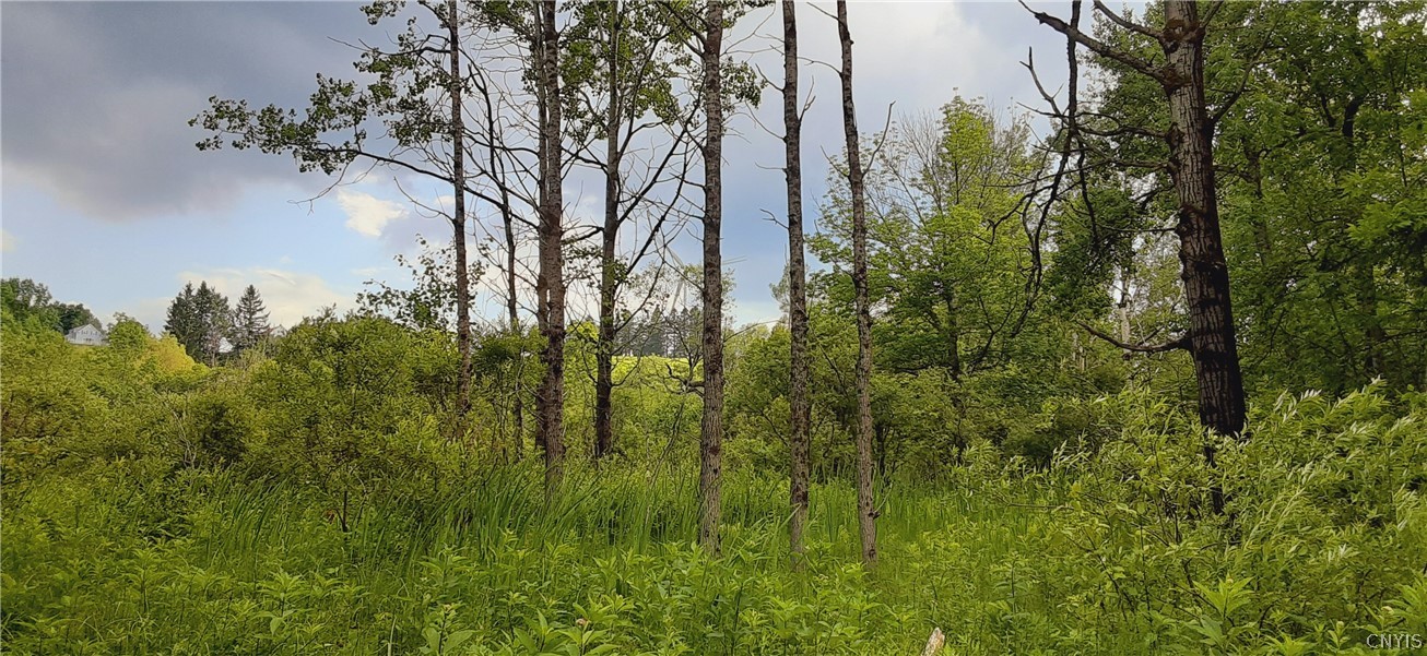 271 Snyder Road Newport, NY 13416 - Photo 16 of 41