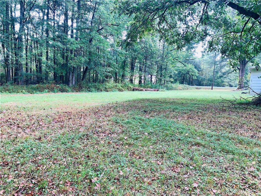 1658 Johnson Lake Road Cedartown, GA 30125 - Photo 24 of 28 Gallery Image 24