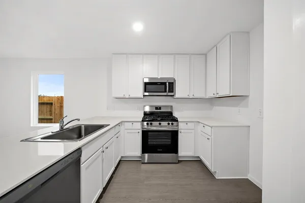 $1,650 | 22675 Downy Hawthorn Drive, New Caney, TX 77357