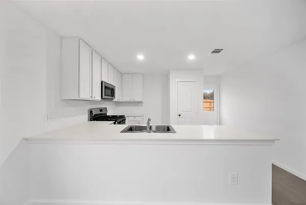 $1,650 | 22675 Downy Hawthorn Drive, New Caney, TX 77357