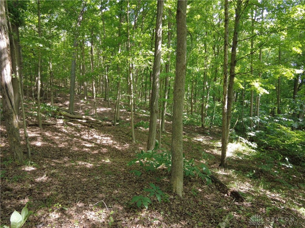 41 State Rte 41 Peebles, OH 45660 - Photo 8 of 20