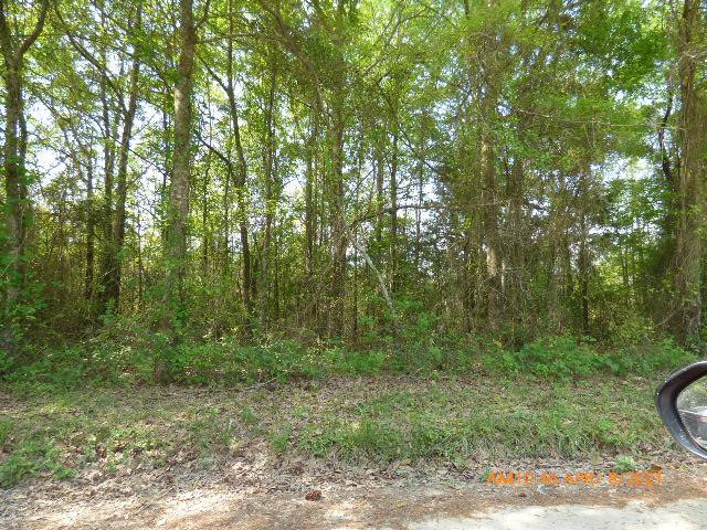 Lot 2 Irving Road Monetta, SC 29105 - Photo 3 of 3