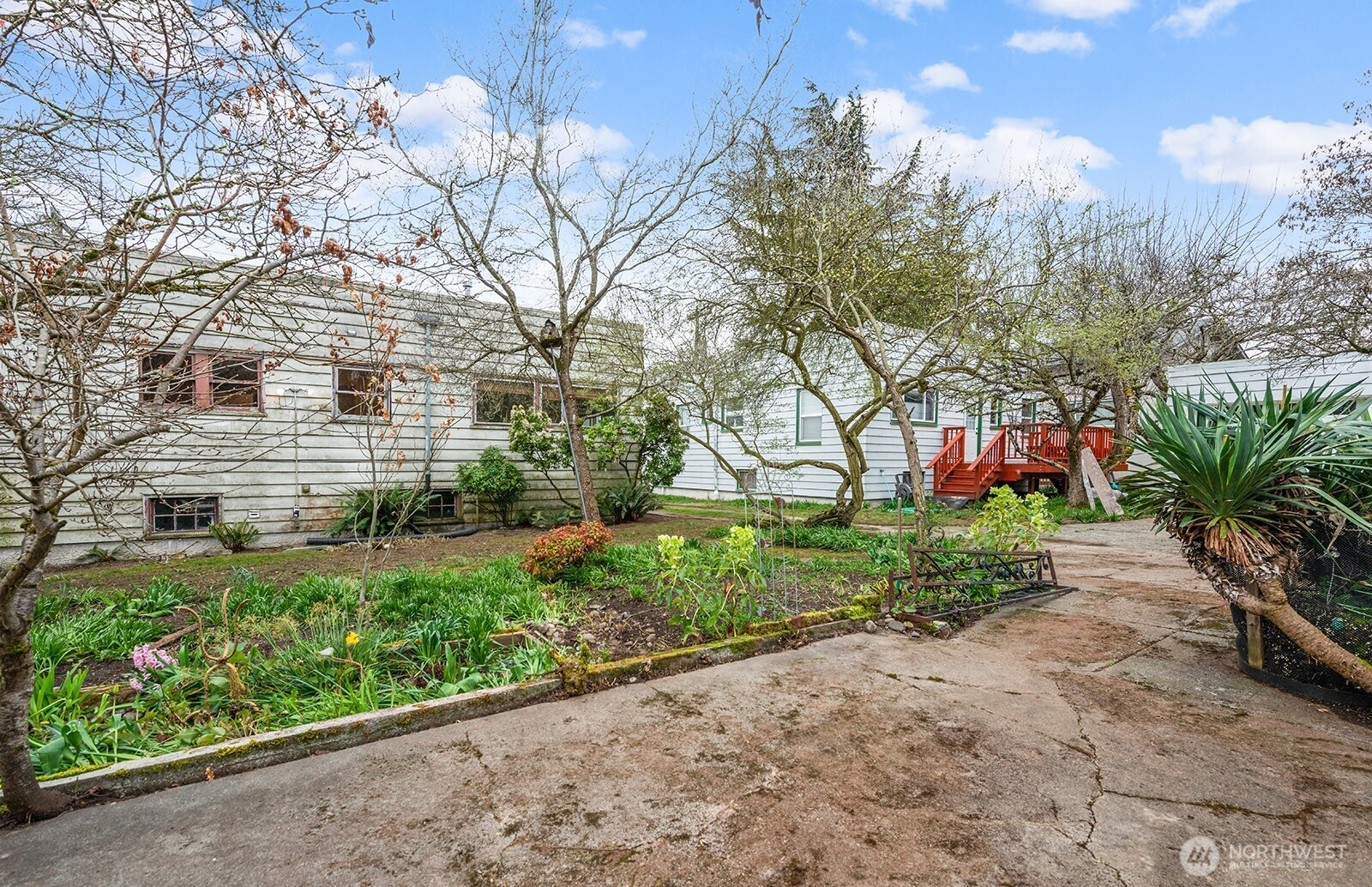 1142 North 77th Street Seattle, WA 98103 - Photo 3 of 24