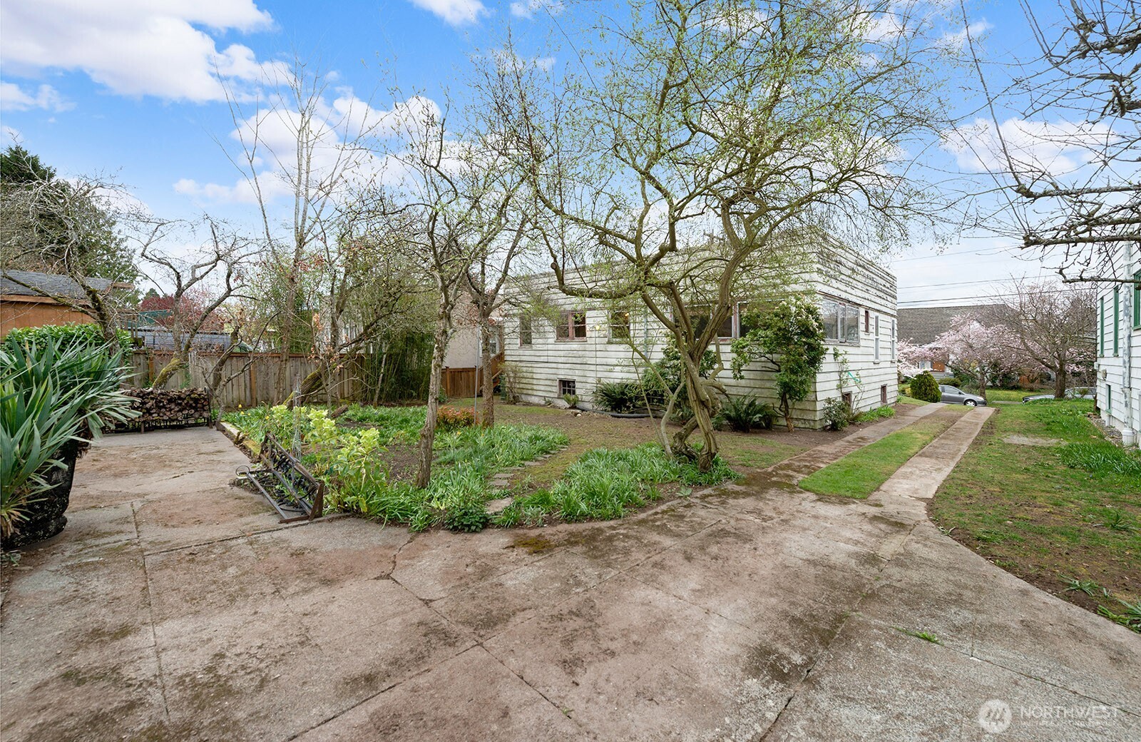 1142 North 77th Street Seattle, WA 98103 - Photo 4 of 24