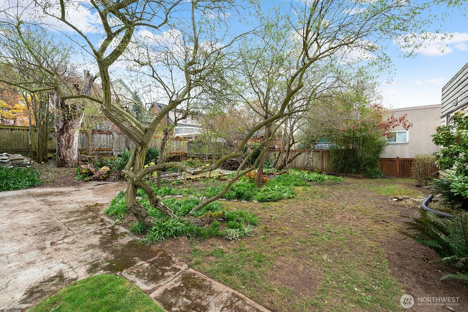 1142 North 77th Street Seattle, WA 98103 - Photo 5 of 24