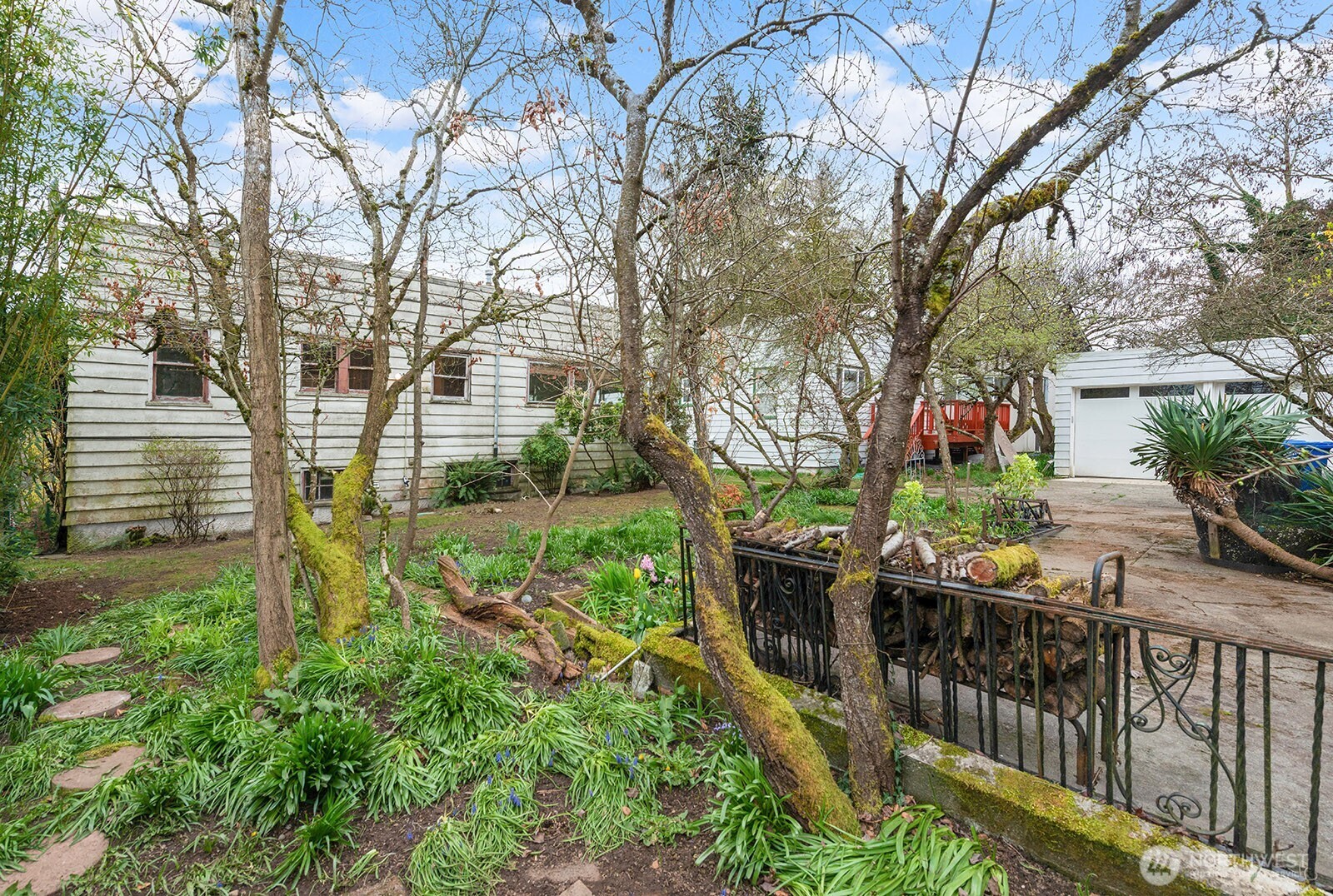 1142 North 77th Street Seattle, WA 98103 - Photo 6 of 24