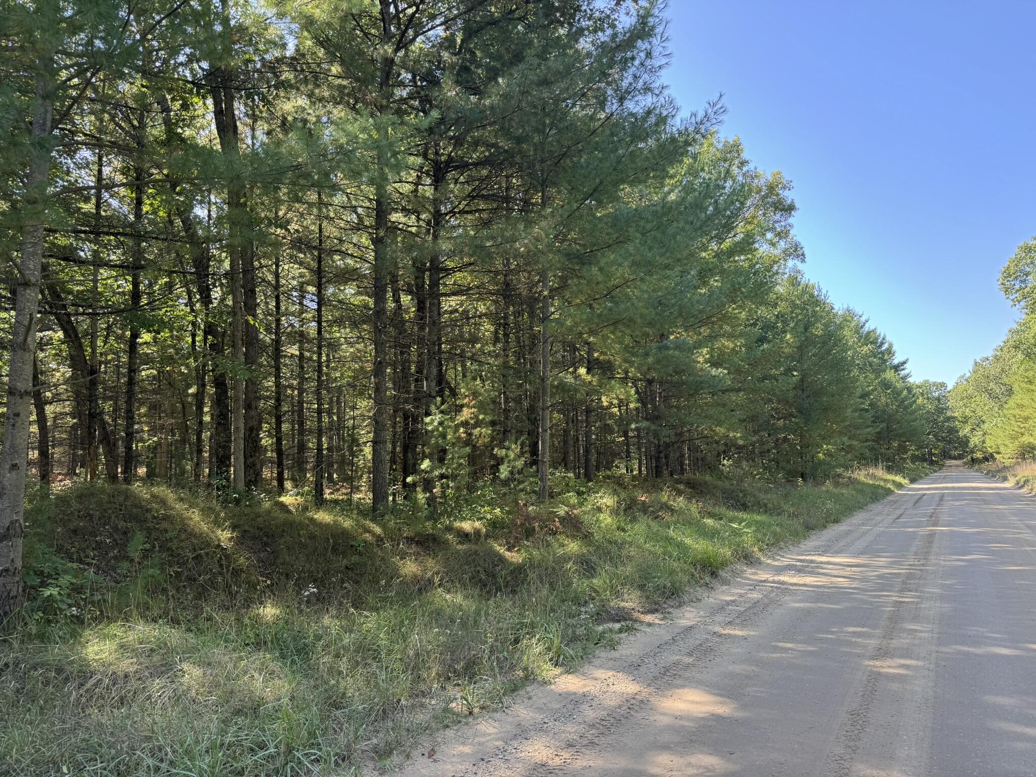 East County Line Road Manistee, MI 49660 - Photo 25 of 32 IMG_1039