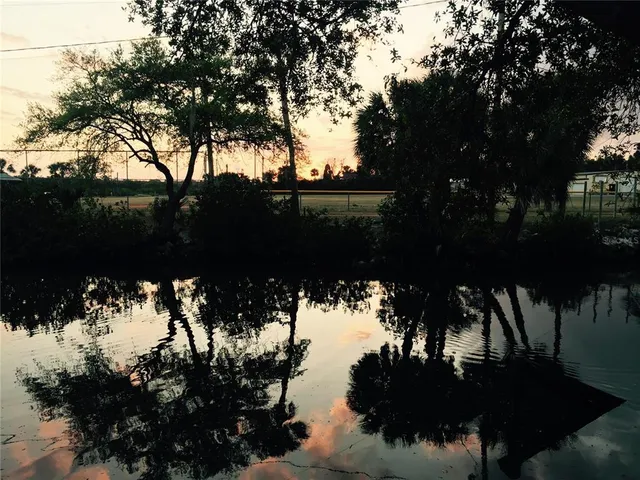 a view of a lake in between two trees