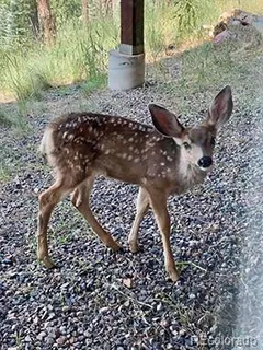 a picture of outdoor space