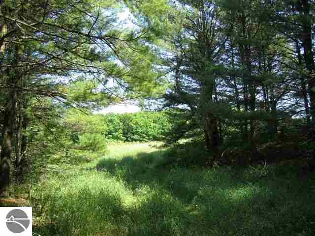 0 West Silver Lake Road Traverse City, MI 49684 - Photo 1 of 10