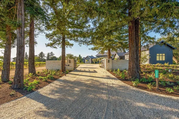 a view of a street with a tree on the side of it