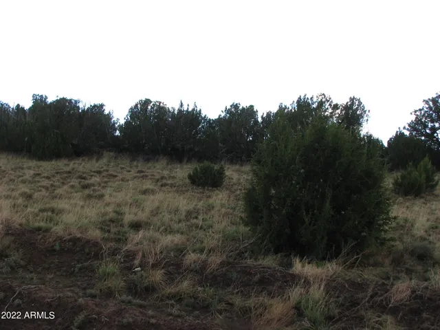 $13,000 | 21-23 County Road 8001, Unit 277 & 278, Show Low, AZ 85901