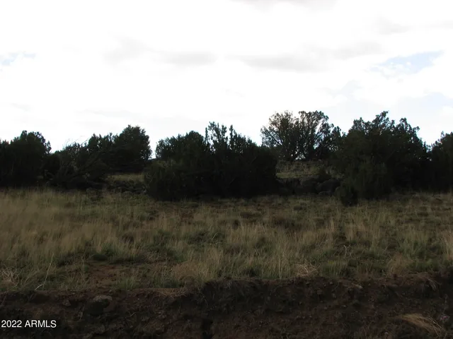 $13,000 | 21-23 County Road 8001, Unit 277 & 278, Show Low, AZ 85901