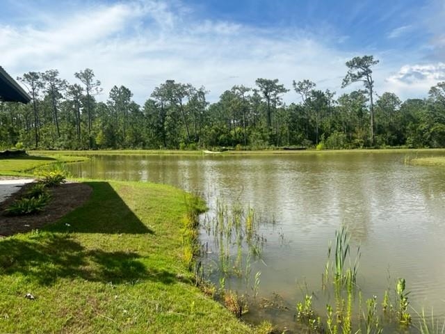24512 Broken Sound Loop Orange Beach, AL 36561 - Photo 11 of 11
