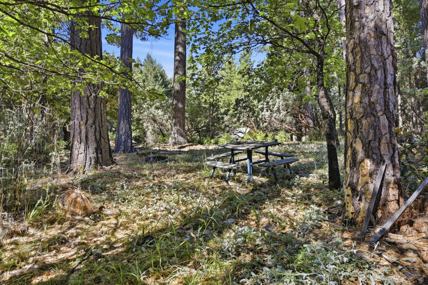 5960 Juarez Road Placerville, CA 95667 - Photo 38 of 40