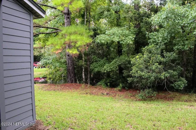 a view of a backyard
